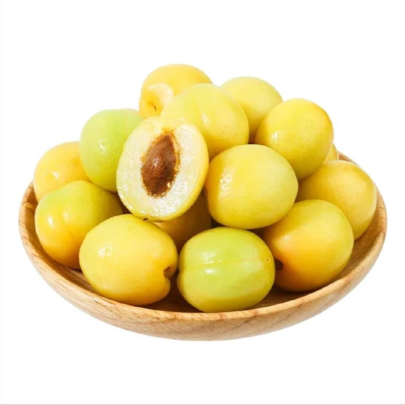 【预售】新疆小白杏1.5kg