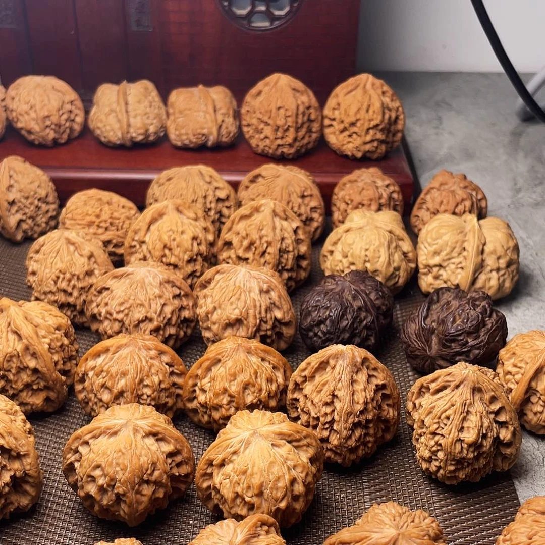 动**原137感谢支持