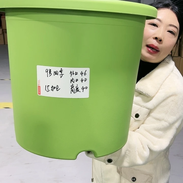 特价9号四季口46高40白色4只无托