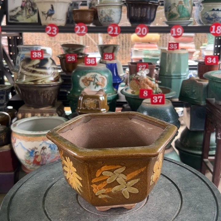 w***j我们的生活是以一场