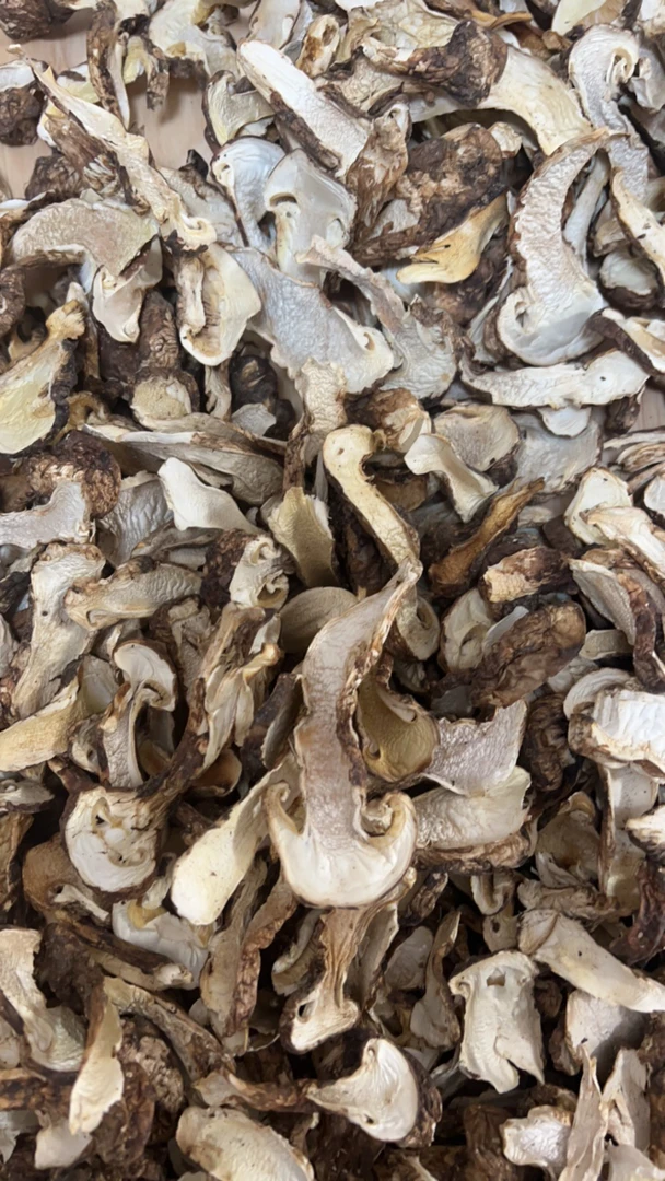 甘孜州农家特产野生带皮松茸手工切片