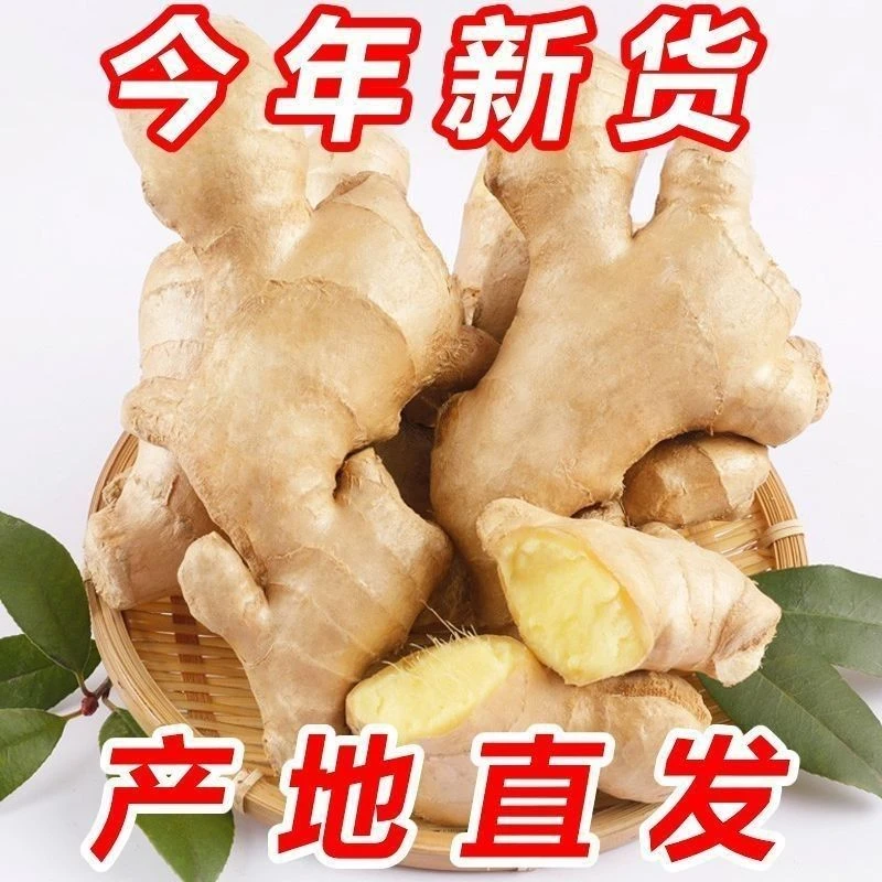 山东生姜新鲜老姜母 水洗无泥风干