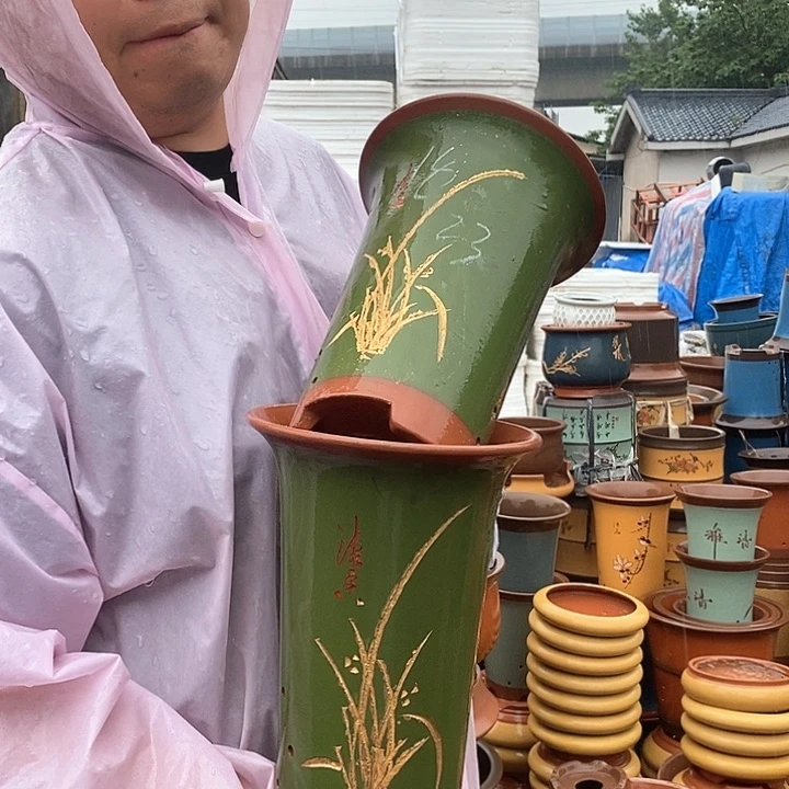 紫砂花盆盆栽植物观赏