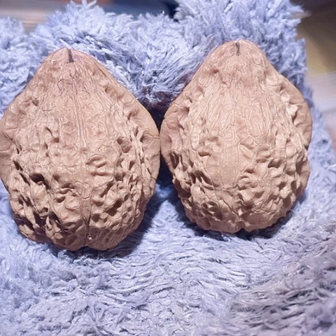 H***r把件文玩核桃金嘴寿桃带彩40+