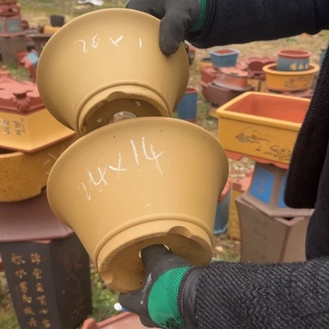 紫砂花盆紫砂花盆盆景盆栽