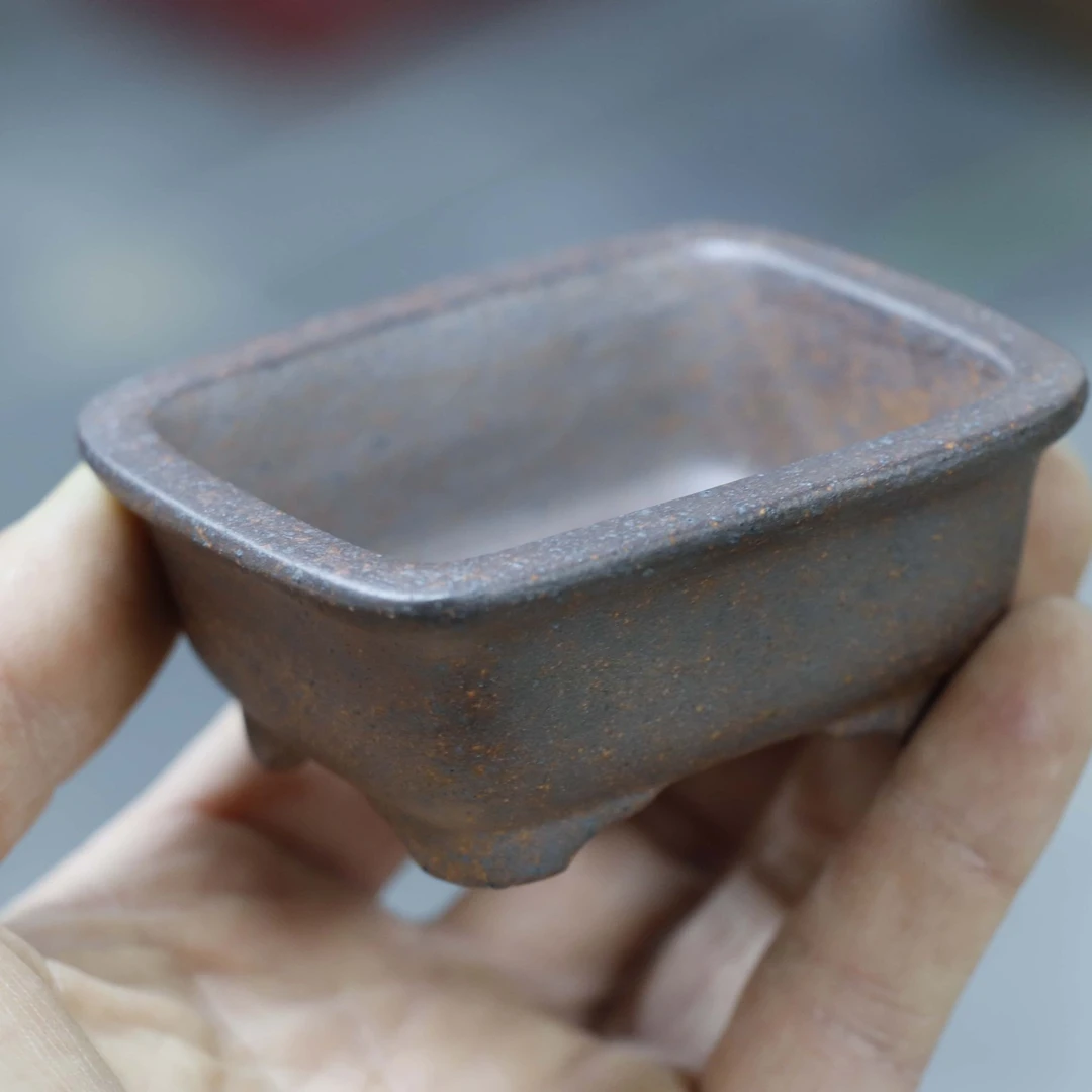 绿植盆景宜兴紫砂盆高温柴烧盆（直播专属链接，一拍一付，私拍不发）