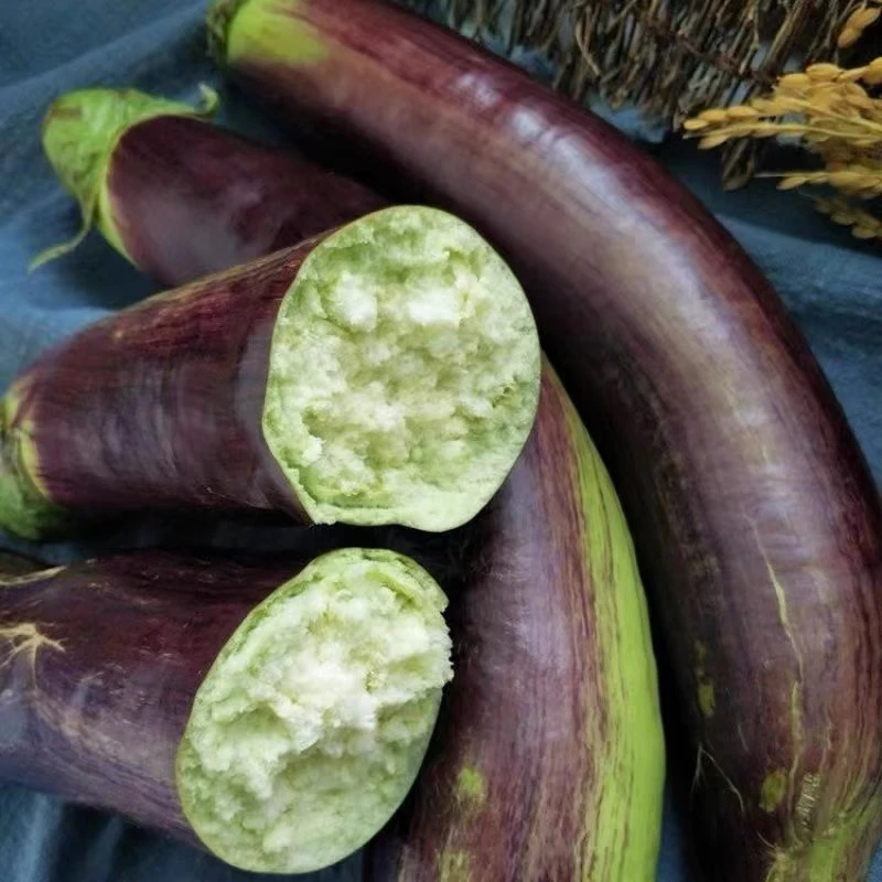 东北农家自种茄子当季蔬菜