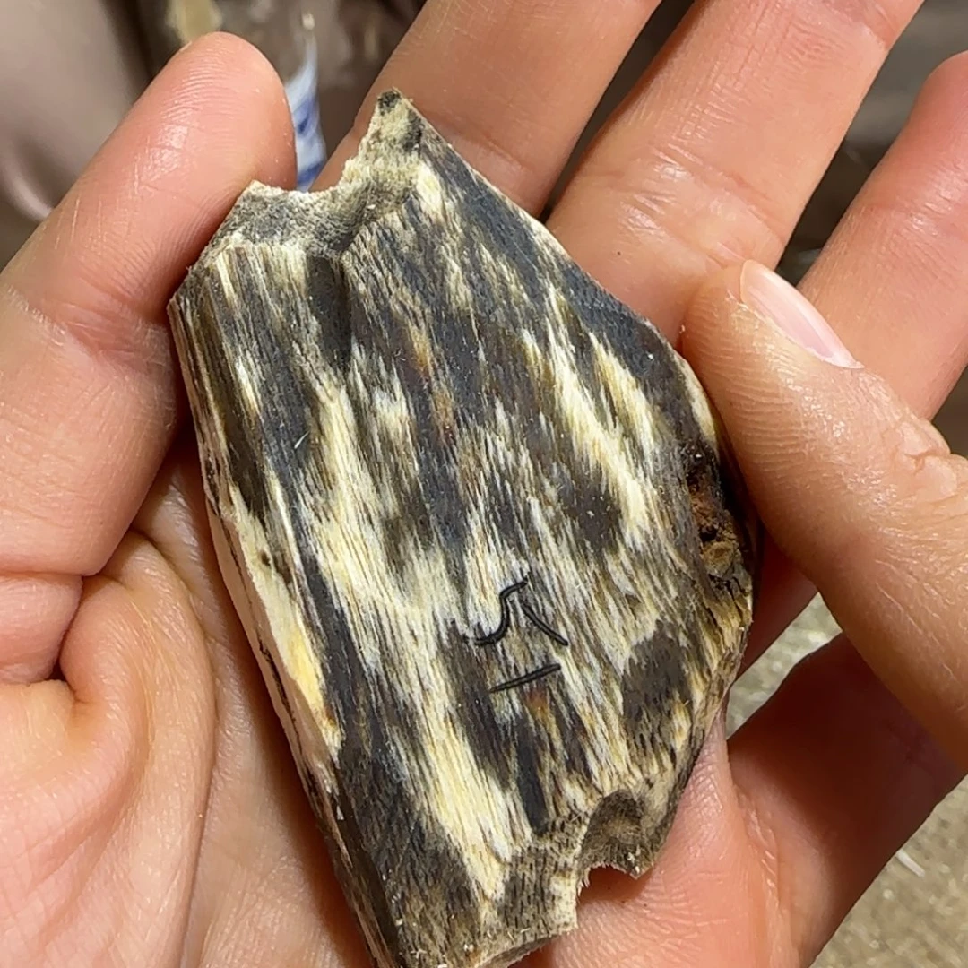 沉香碎屑沉香51号奇楠沉香原木一个