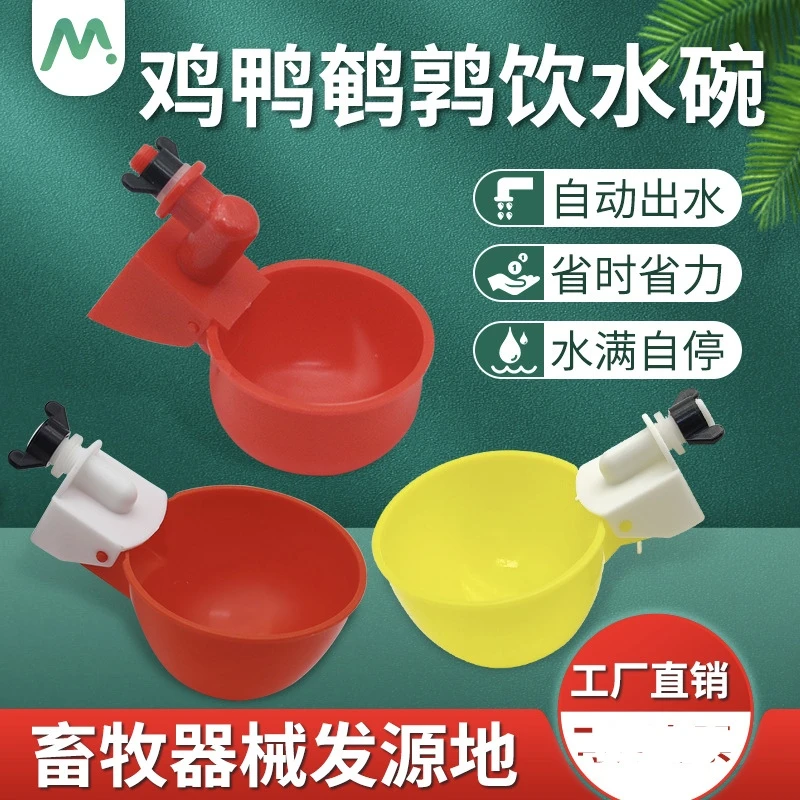 鸡鸽鹌鹑饮水碗用自动饮水器饮水杯鸽子挂式饮水碗雏鸡鸭鹅饮水器