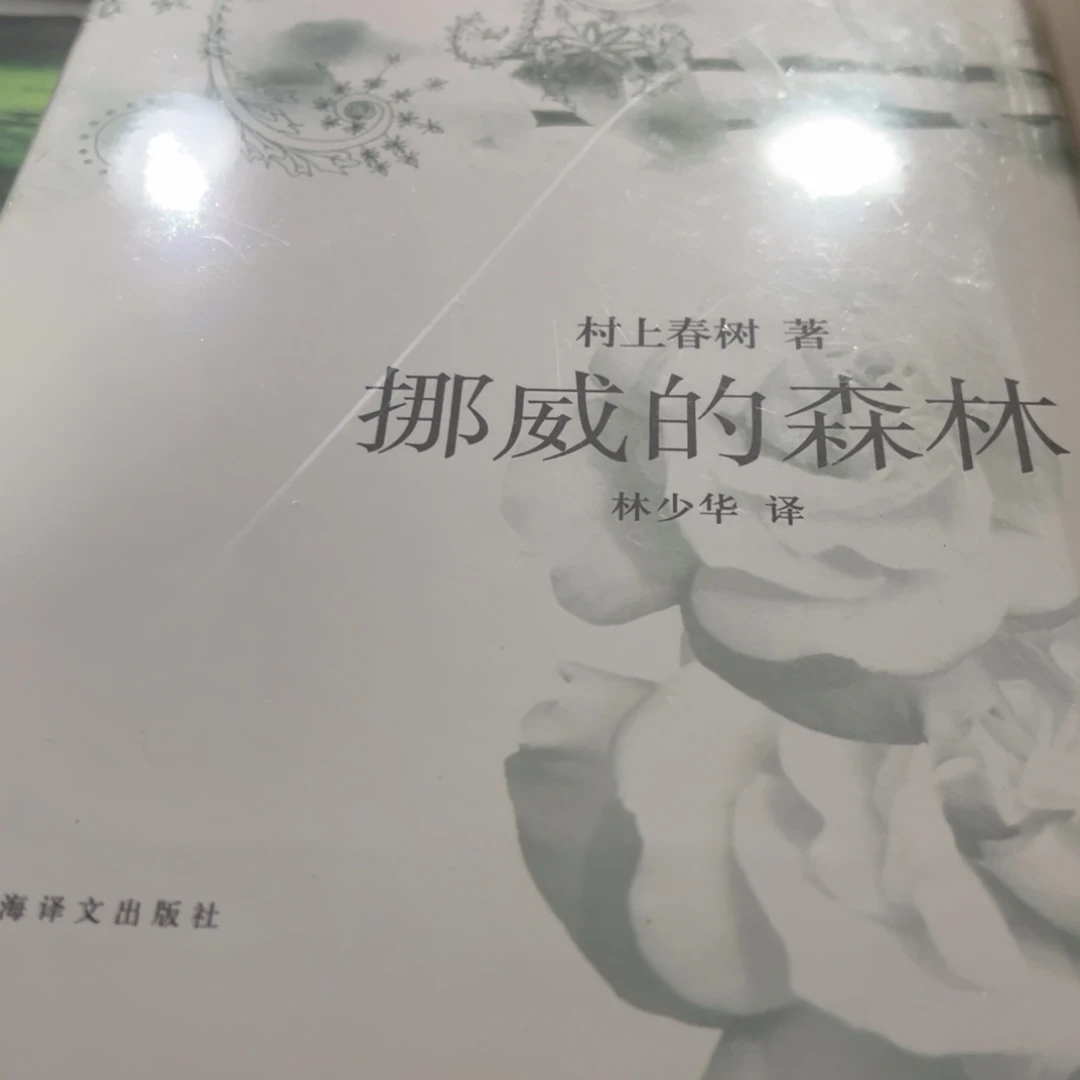 挪威的森林精装一个