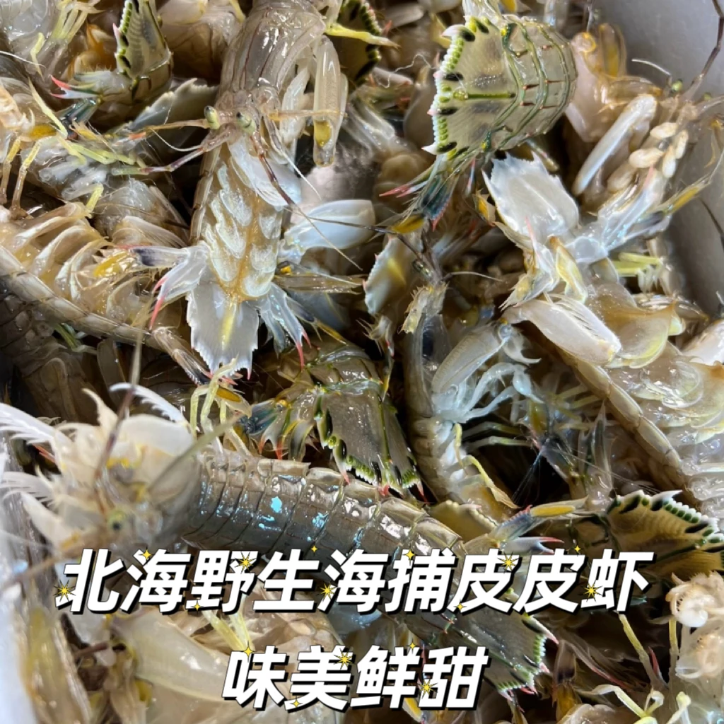 5斤北海港鲜皮皮虾 野生新鲜蒸熟濑尿虾虾爬子 北海特产皮皮虾