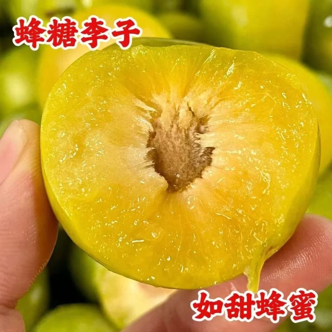 顺丰直发现货高山蜂糖李新鲜脆甜脱骨李冰糖李孕妇水果