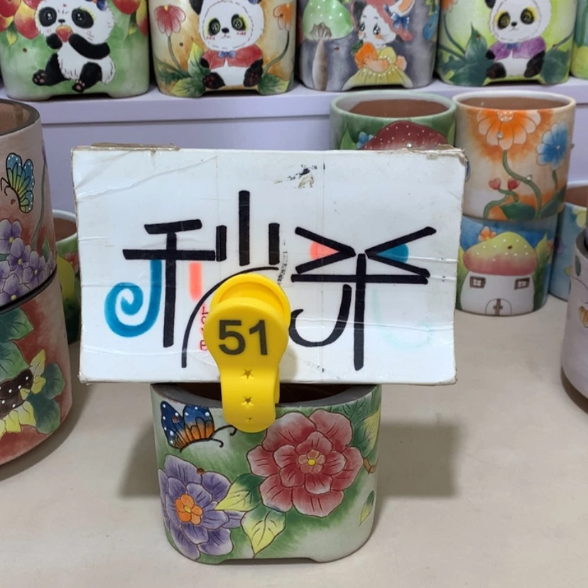 【闪购商品】红陶随单发货