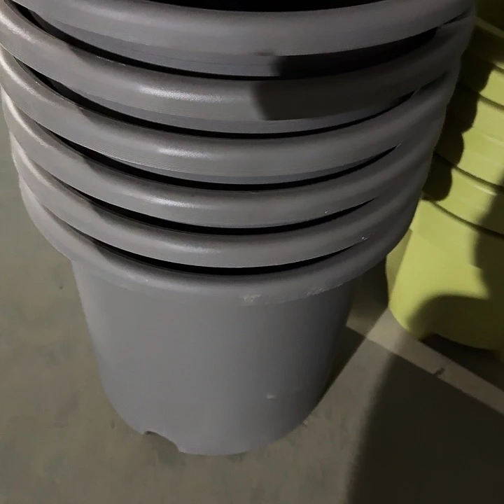 编号是53号的53号的