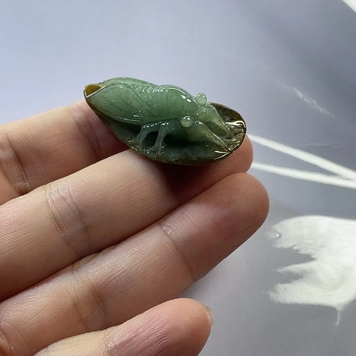 翡翠未镶嵌颈饰知了吊坠