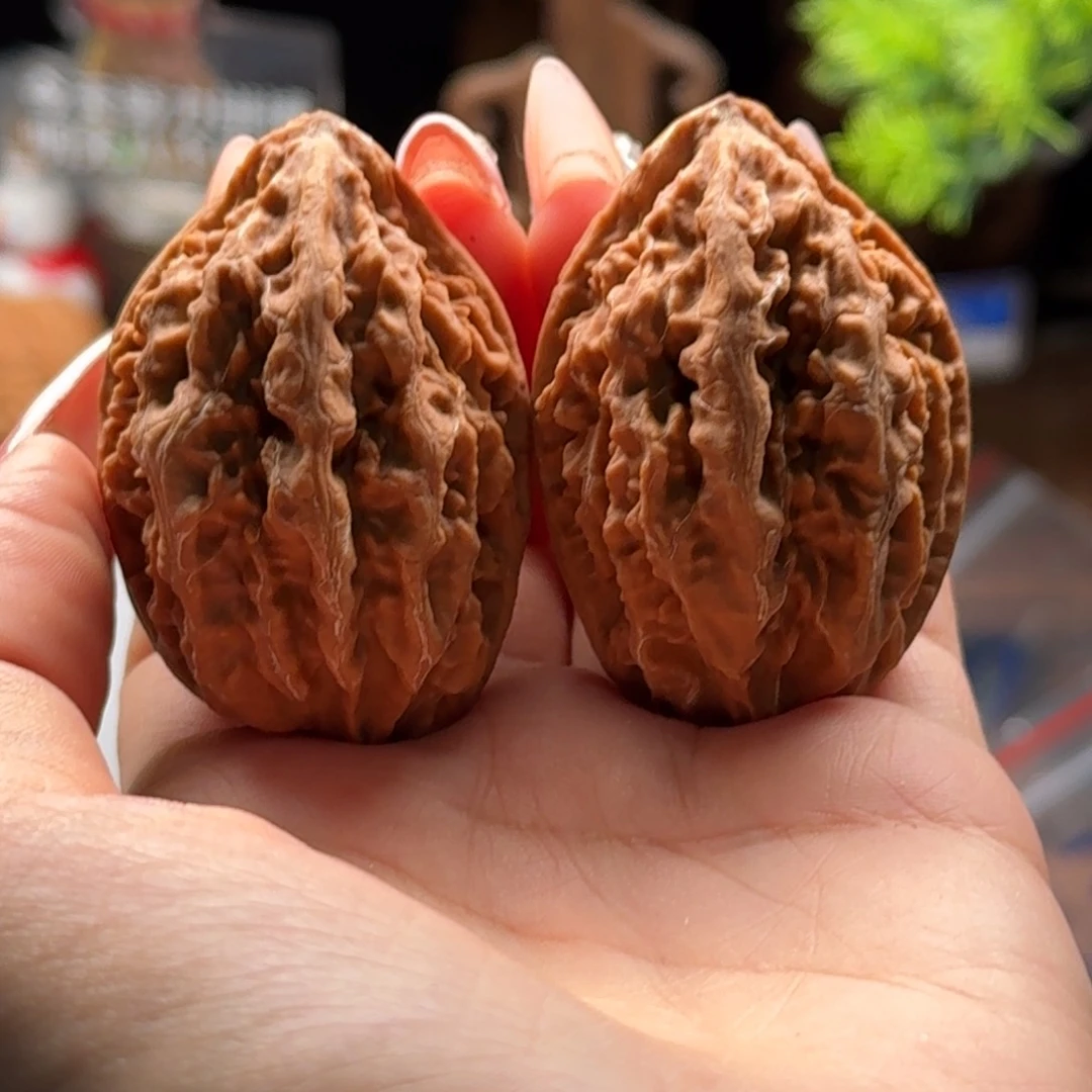 文玩核桃把件楸百核61