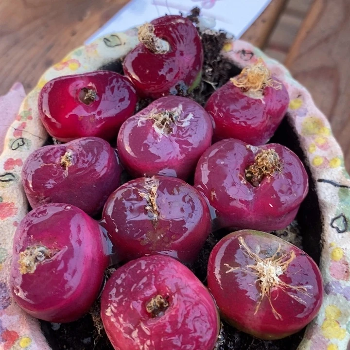 4110有伤一组一组