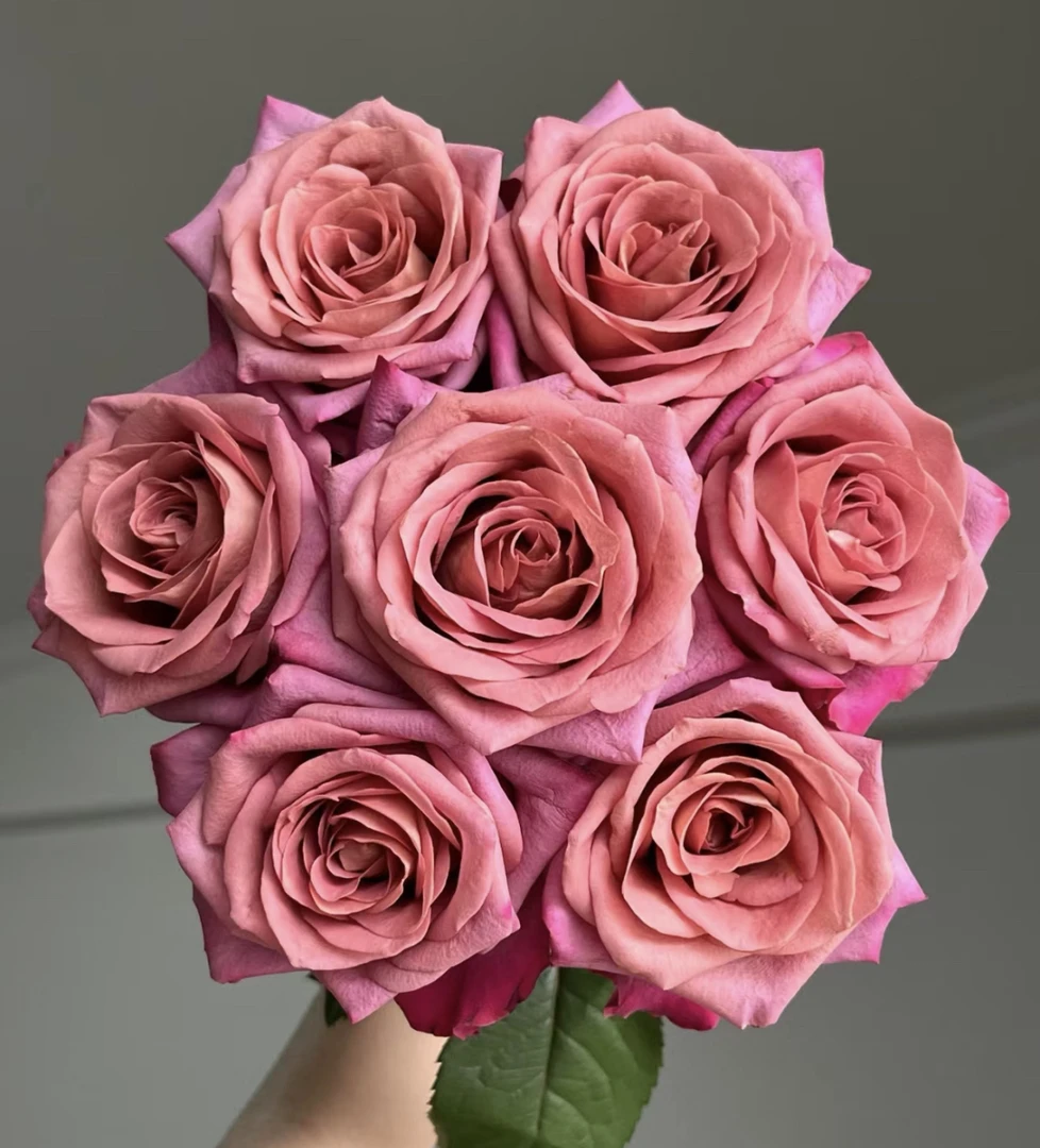 （曼）  调香师15支+5支防损 鲜花任意满2单包邮