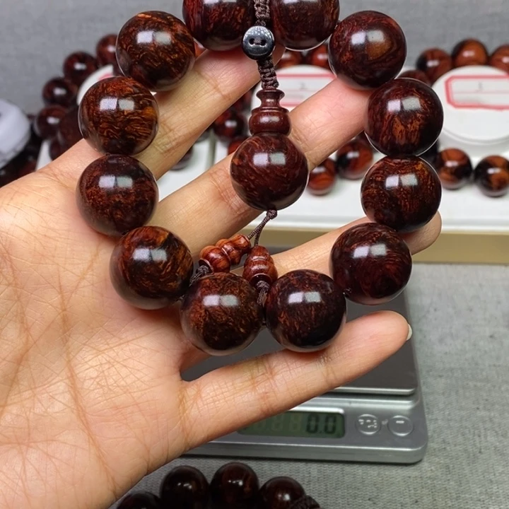 Z***军2.0啊啊啊啊啊啊啊啊啊