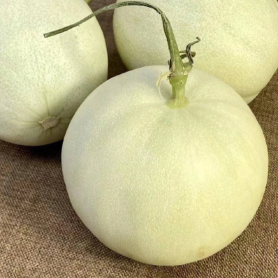 奶香蜜瓜（1个）