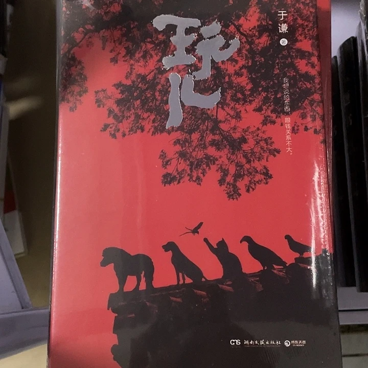 玩儿   精装带塑封