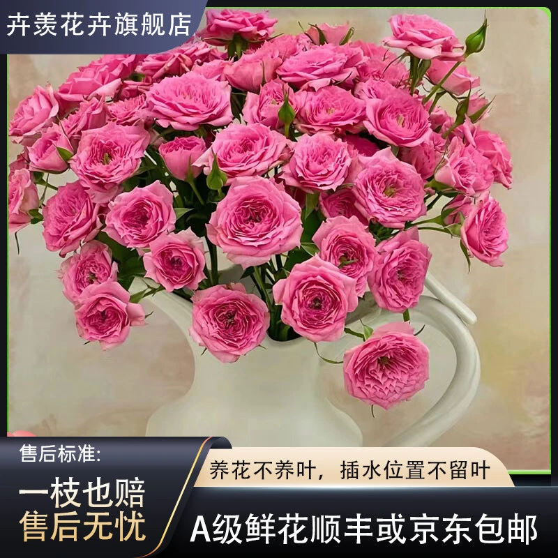 【卉羡】苏菲宝贝 热烈明亮玫红色多头玫瑰点缀装饰客厅茶几家具