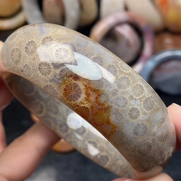 硅化玉未镶嵌颈饰61