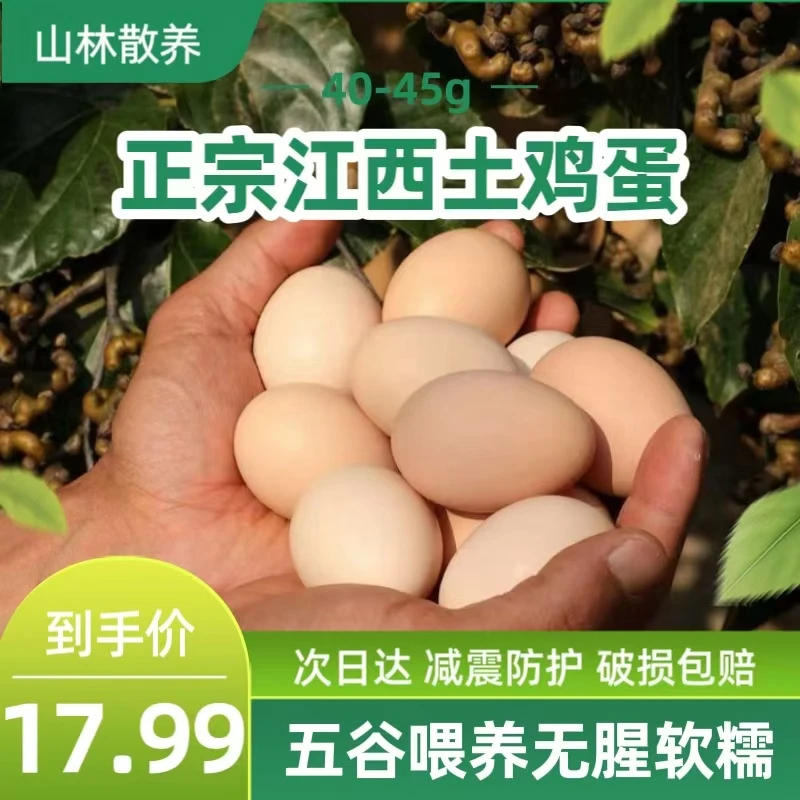 江西开窝土鸡蛋30枚40-45g/枚 初产月子蛋 初生散养草鸡蛋好营养