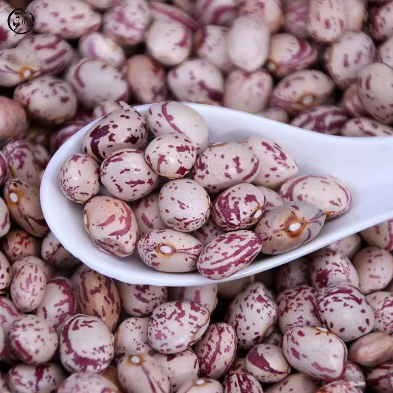 花豆、甜姐山货、土特产