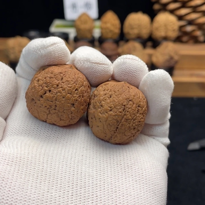 把件文玩核桃云南铁核桃37