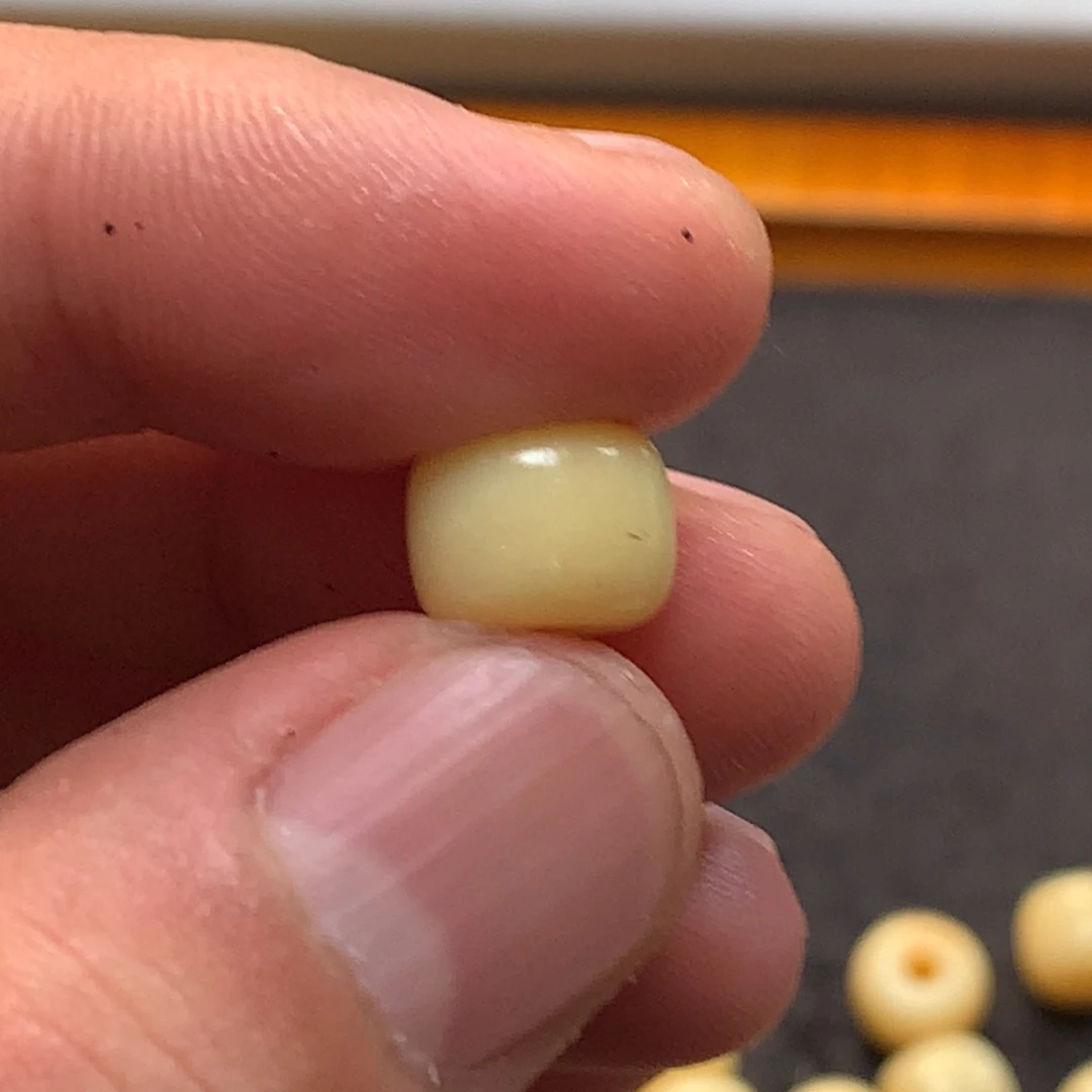 猛犸猛犸猛犸猛犸猛犸d8