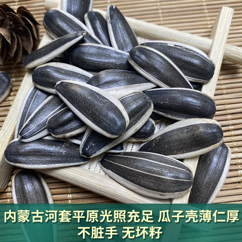 大颗粒内蒙古生瓜子原产地生瓜子