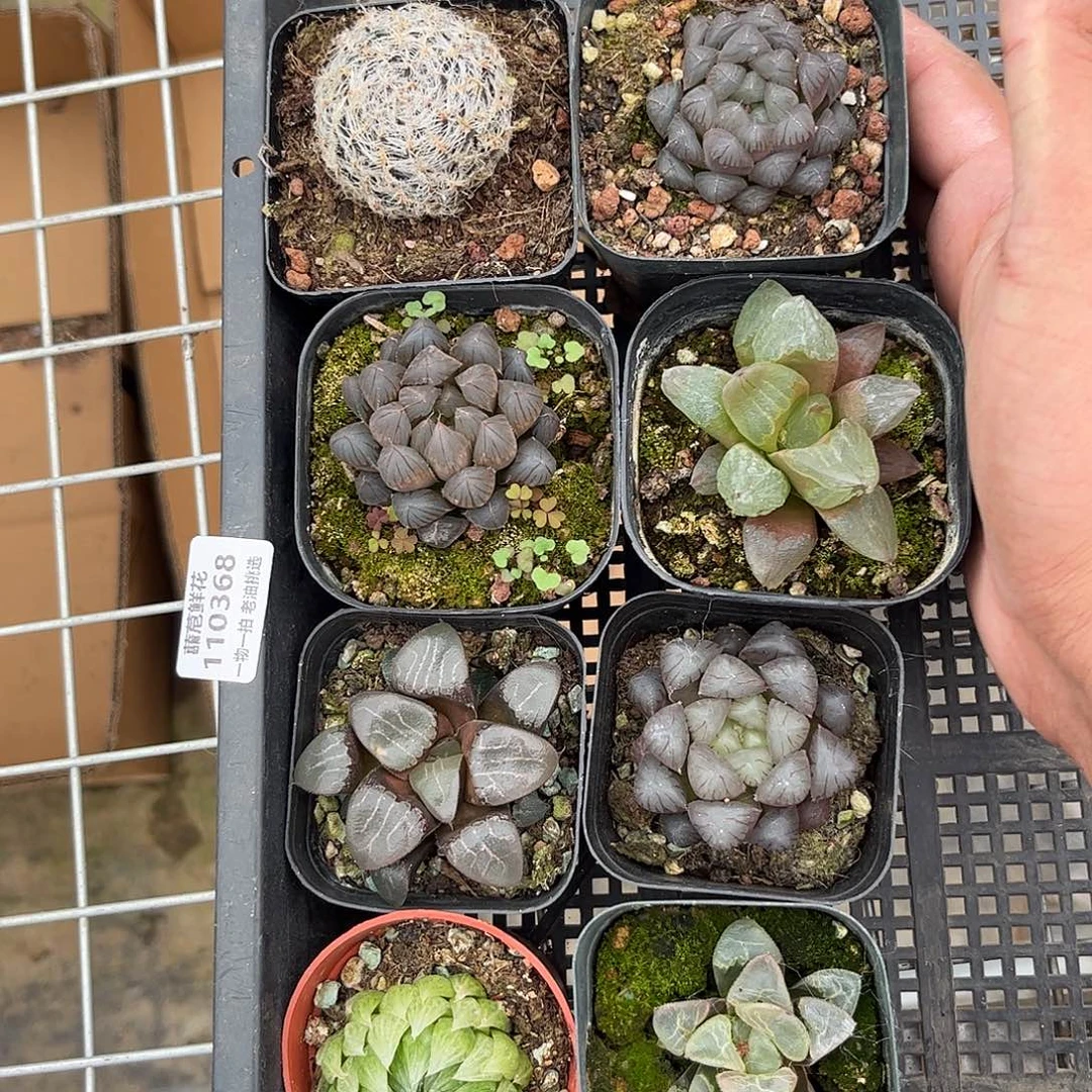 逸***️110368一物一拍单