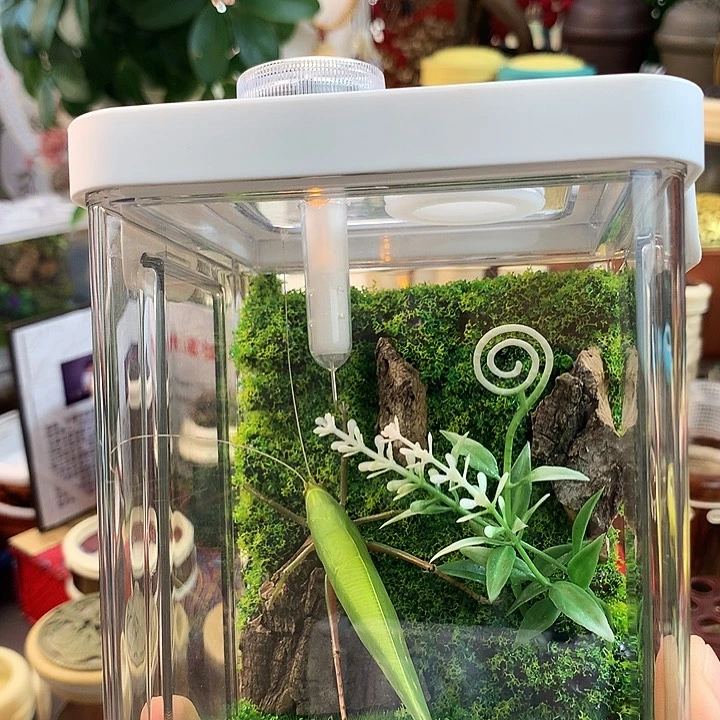 素背套装啊啊啊啊啊啊啊