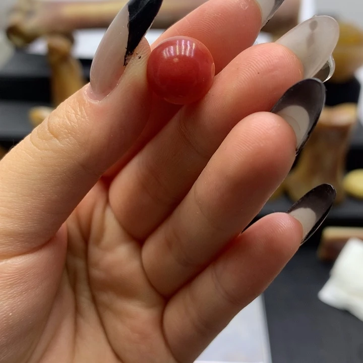 驼骨其他驼骨 单珠