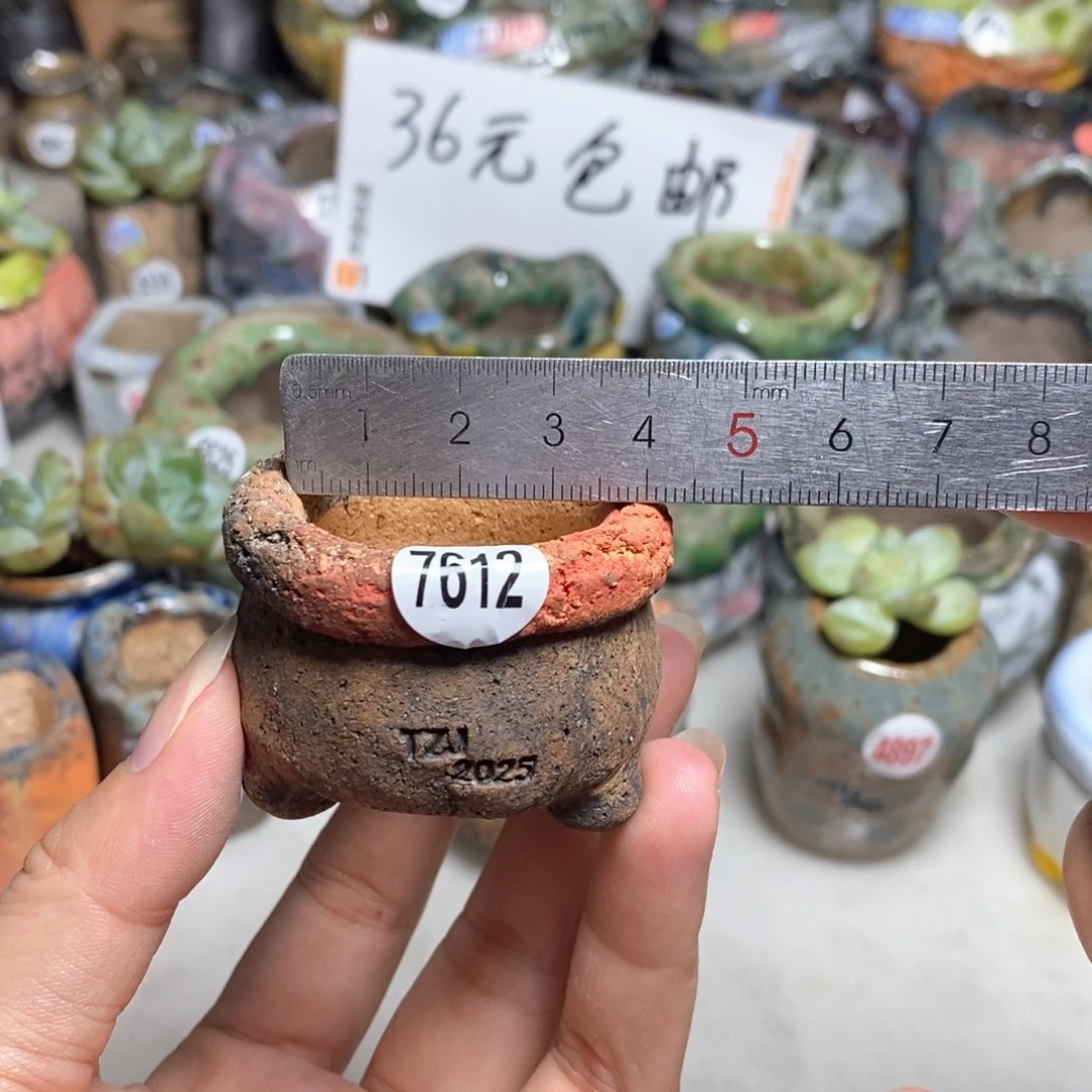 处理的，不退不换的