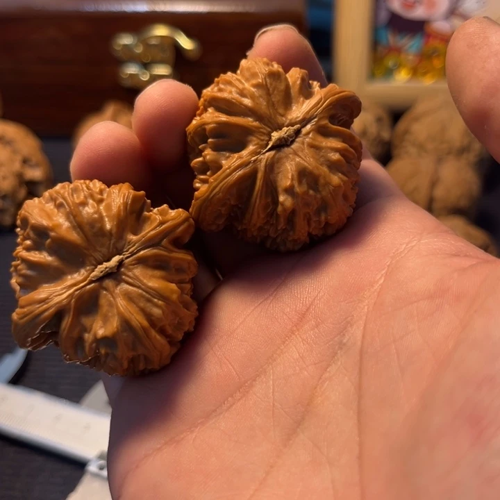 文玩核桃白狮子40