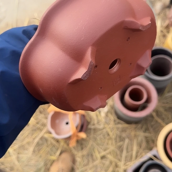 这就是为什么不可以说呢还是因为这个事情吗