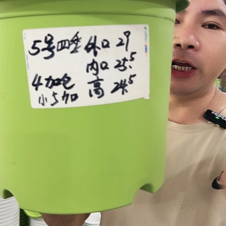 特价5号四季口29高24混色5个无托