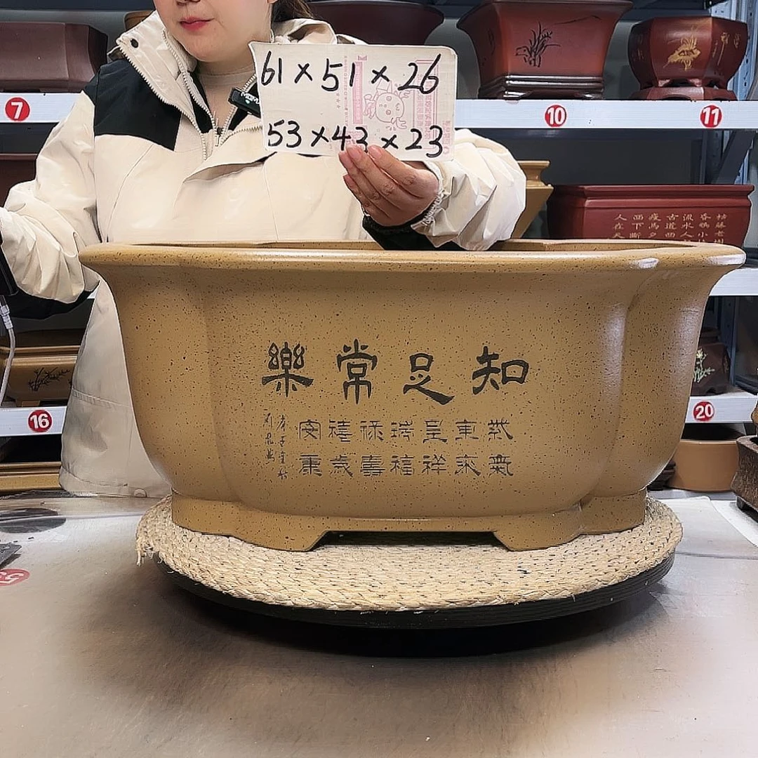 紫砂花盆紫砂花盆