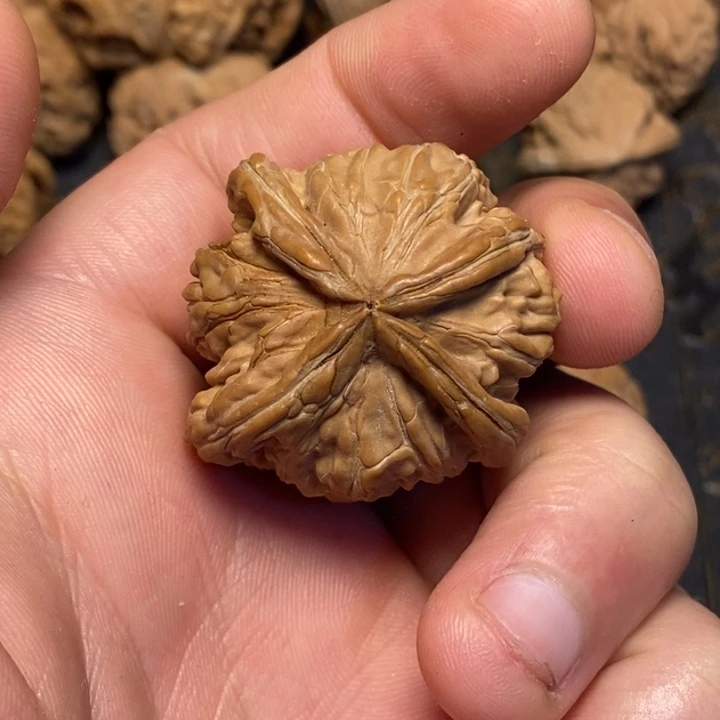 文玩核桃吊坠森***1文玩核桃异形单只