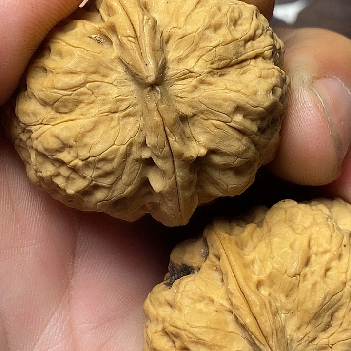 文玩核桃把件云南铁核桃B5