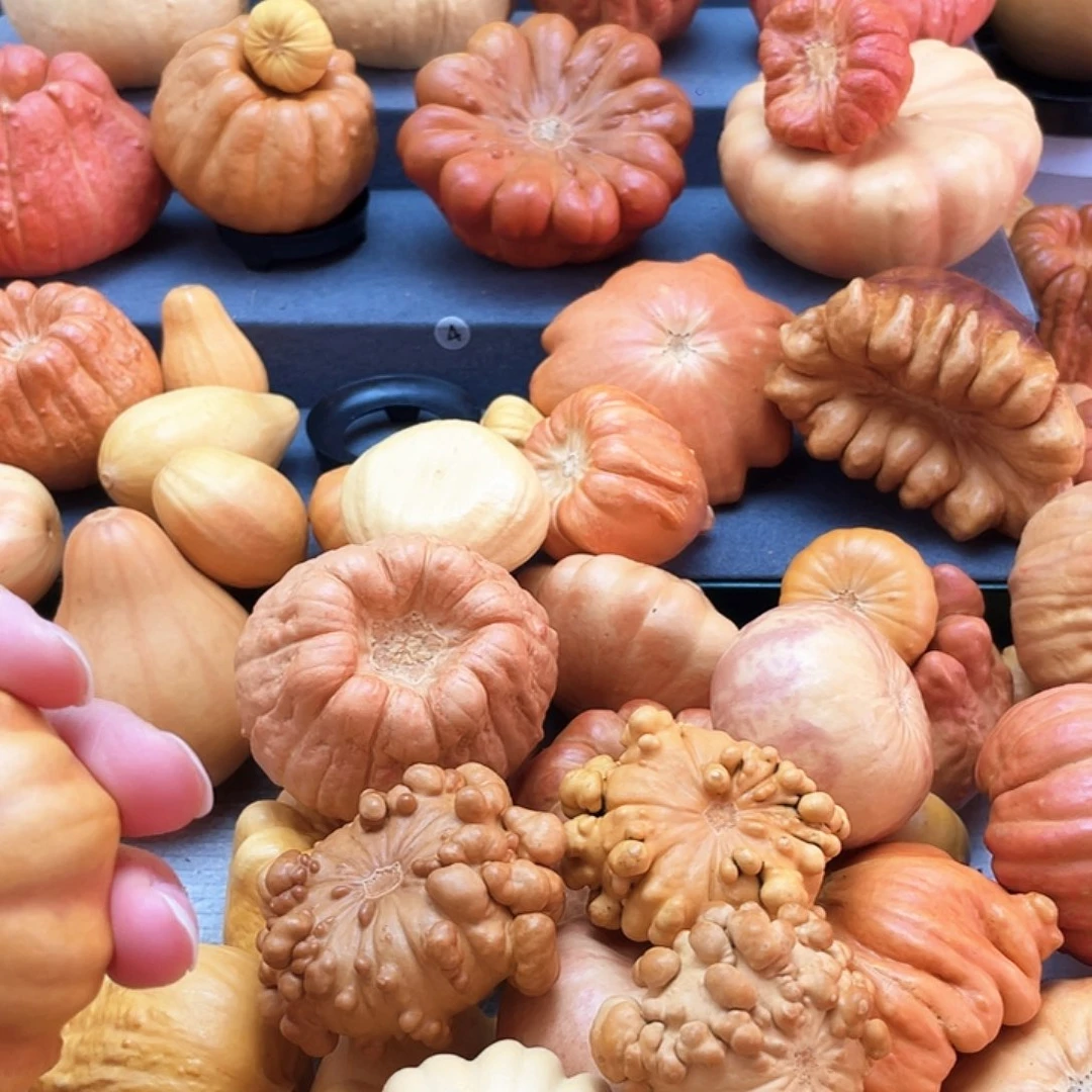 郑***瑜墨西哥七彩哥的葫芦