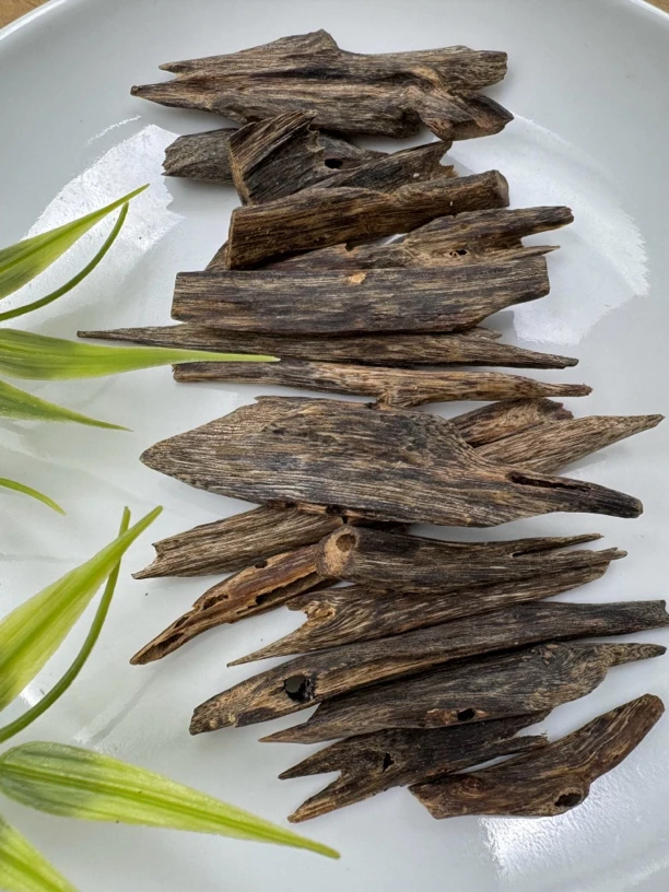 树心虫漏结香清香持久甜凉韵味