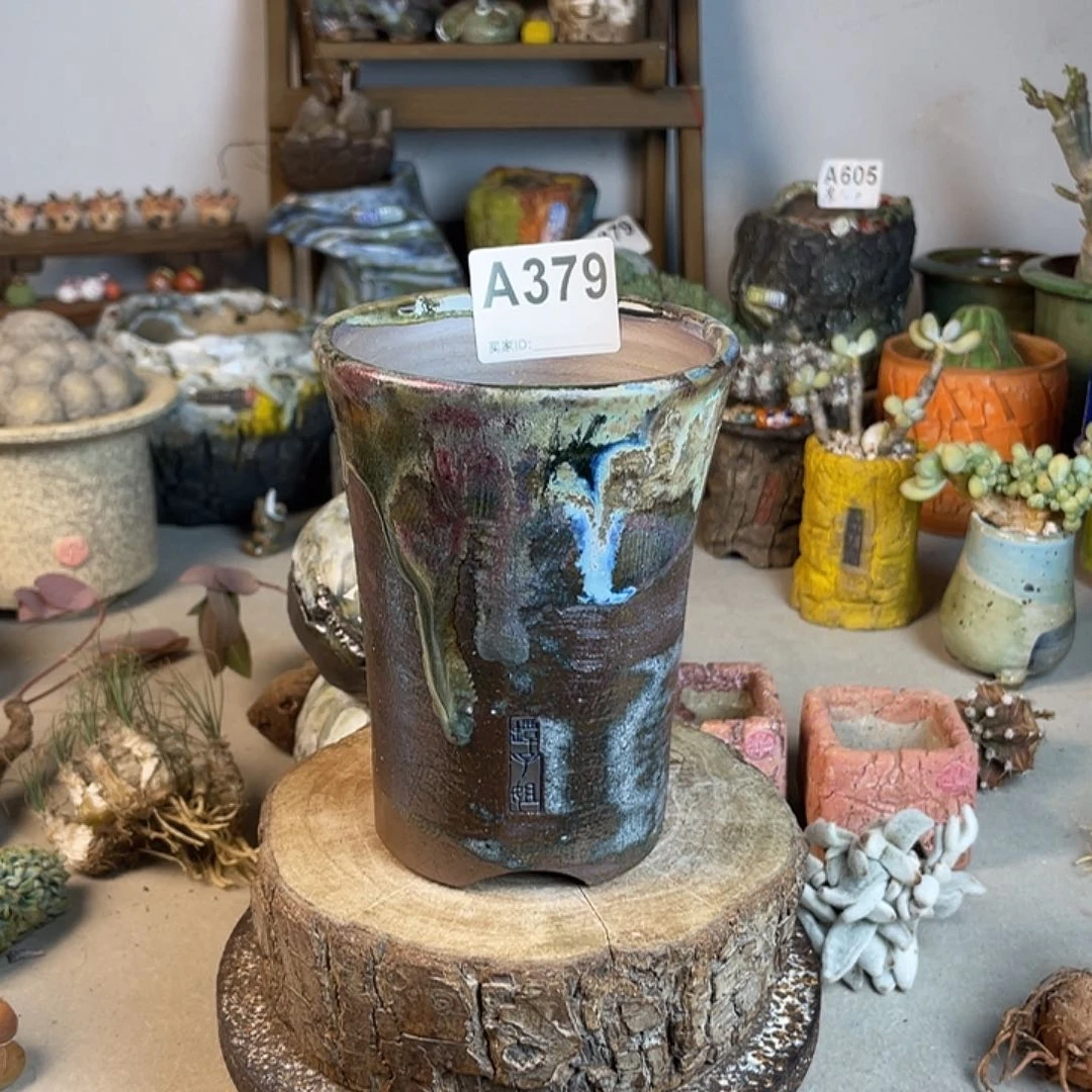 孤品 不含肉 内口9 百搭 块根盆