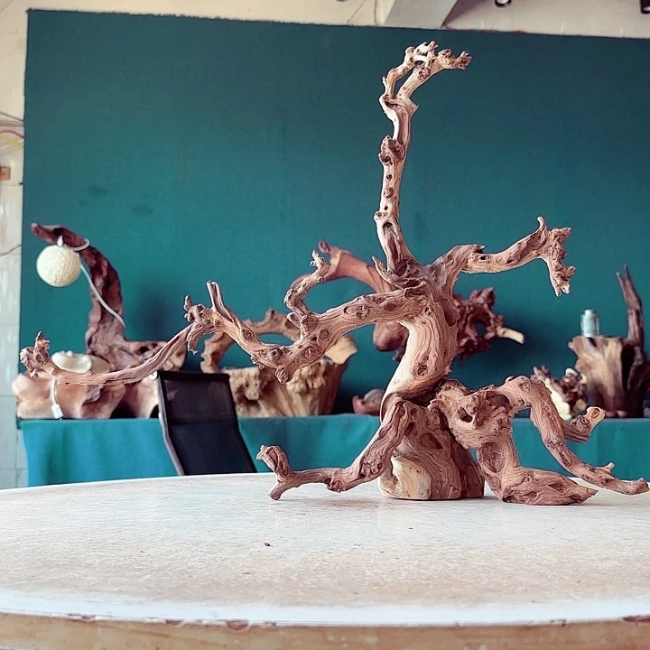 茗***蔻木566 金丝红木羊蹄甲半成品