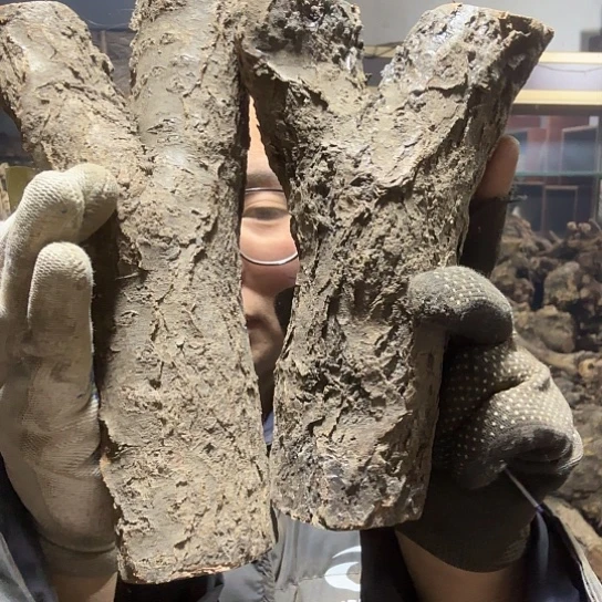 香榧木老****装火琉璃的毛料摆件