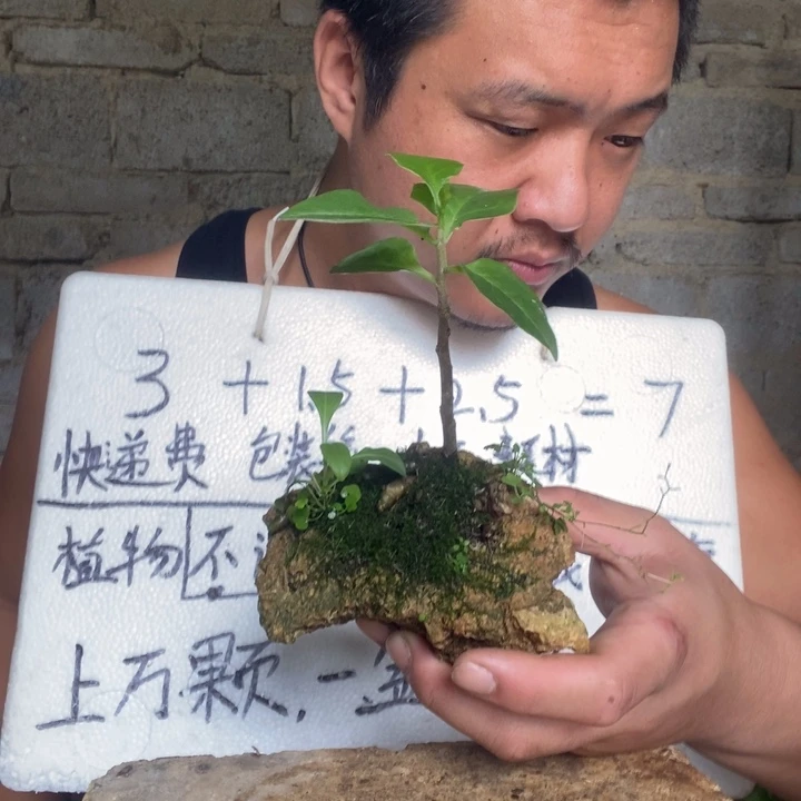 退款拉黑一物一拍233