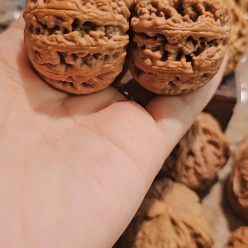 文玩核桃吊坠42粗筋