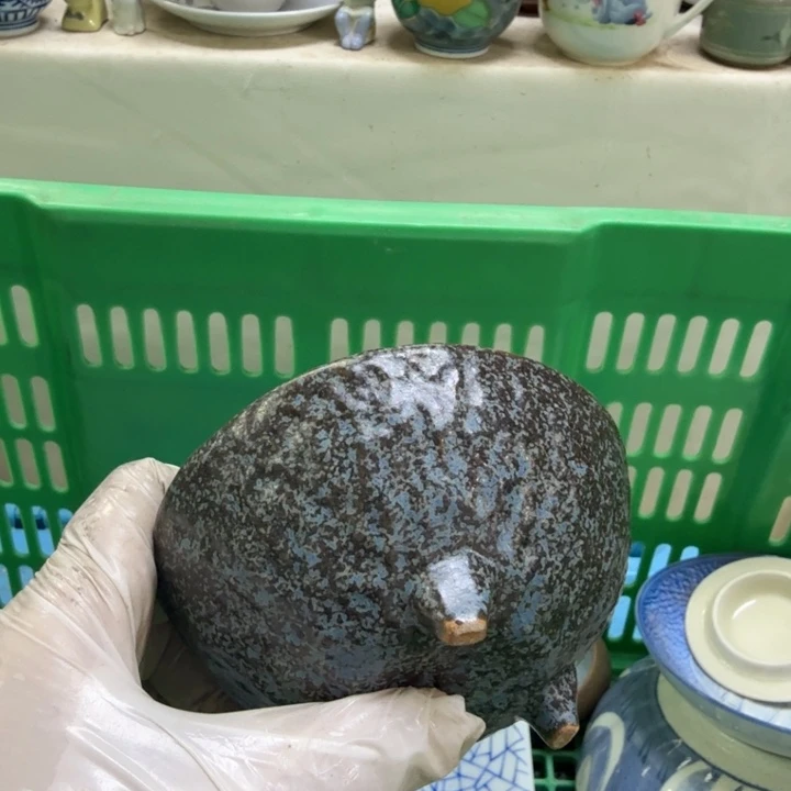 瓷片‖****‖开播啦…开播啦！